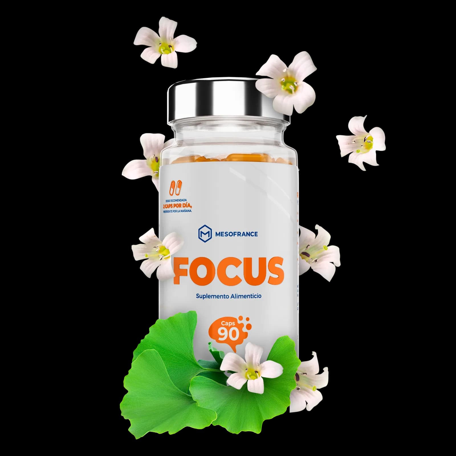 MESOFRANCE Focus
